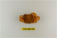 藏品(雙色澤蟹)的圖片